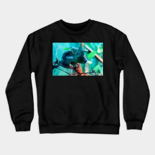 Сhameleon sitting on a tree branch Crewneck Sweatshirt